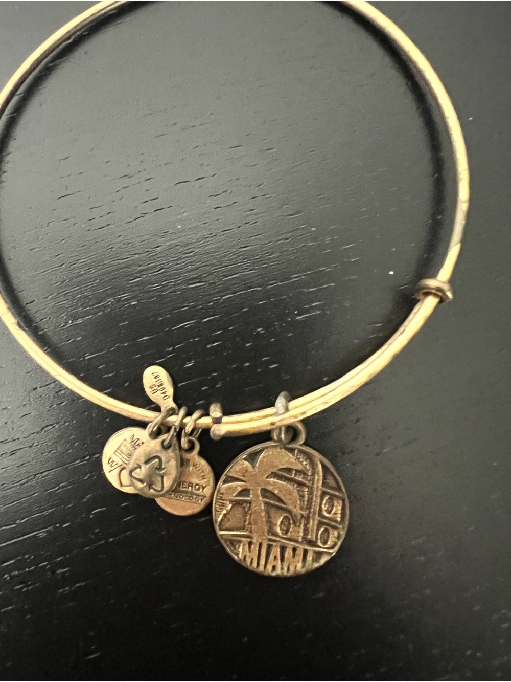 Alex and Ani Gold-Tone Miami Charm Bangle Bracelet 2010